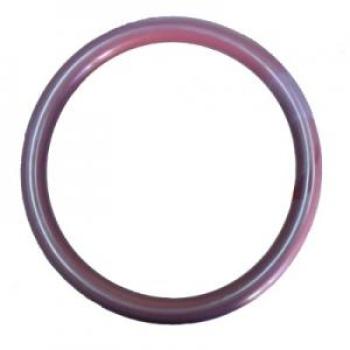 O-Ring FS200
