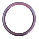 O-Ring FS200